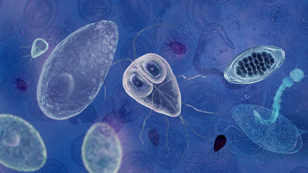 Paradevices and Parasitology